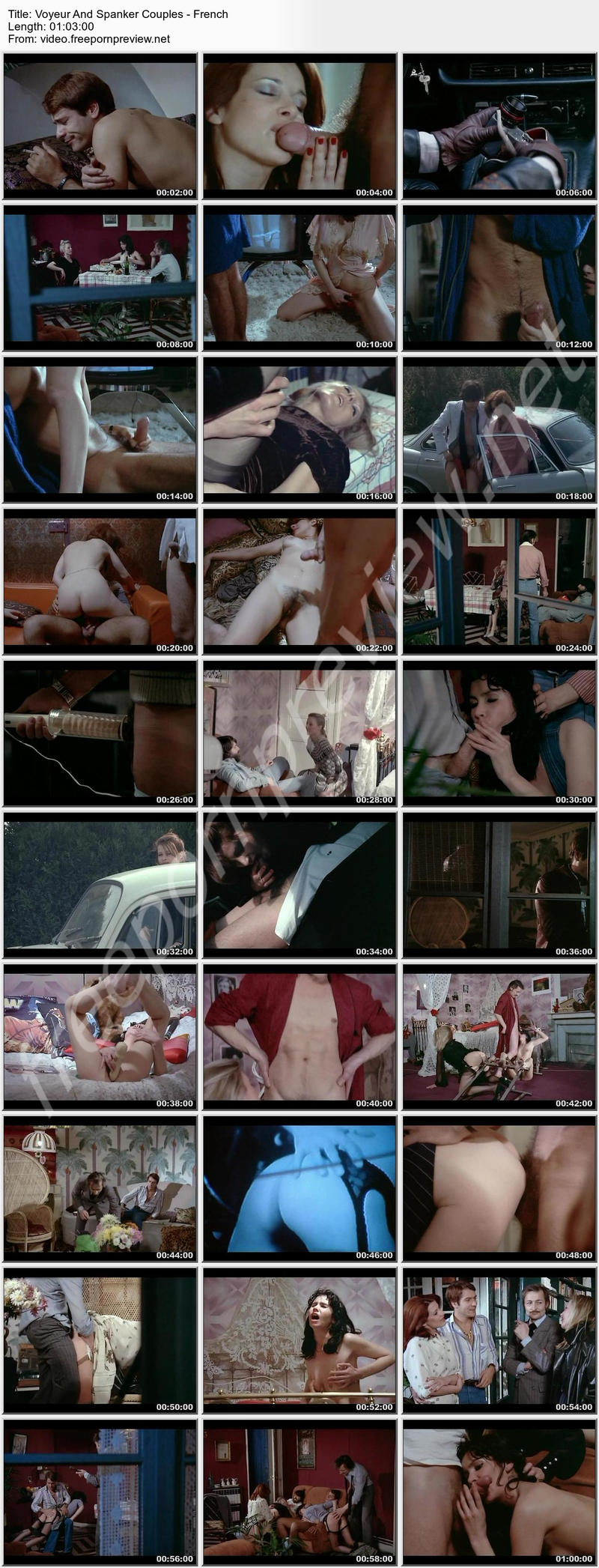 Voyeur And Spanker Couples - French