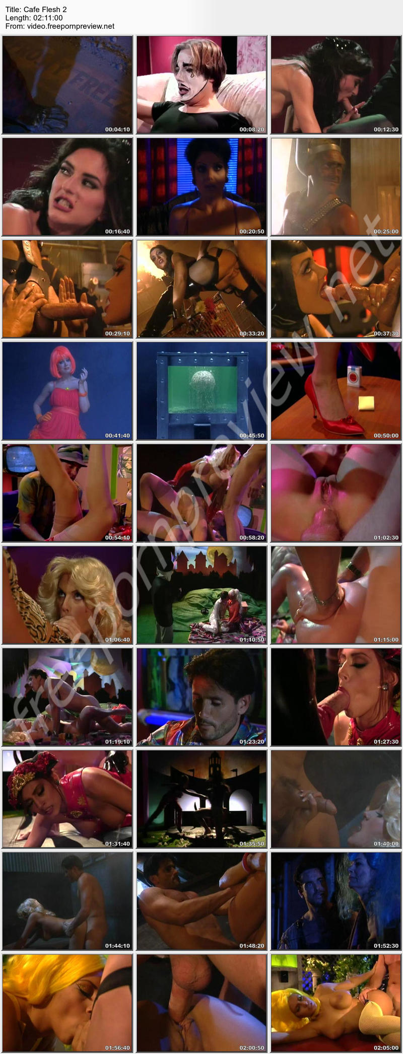 Cafe Flesh 2