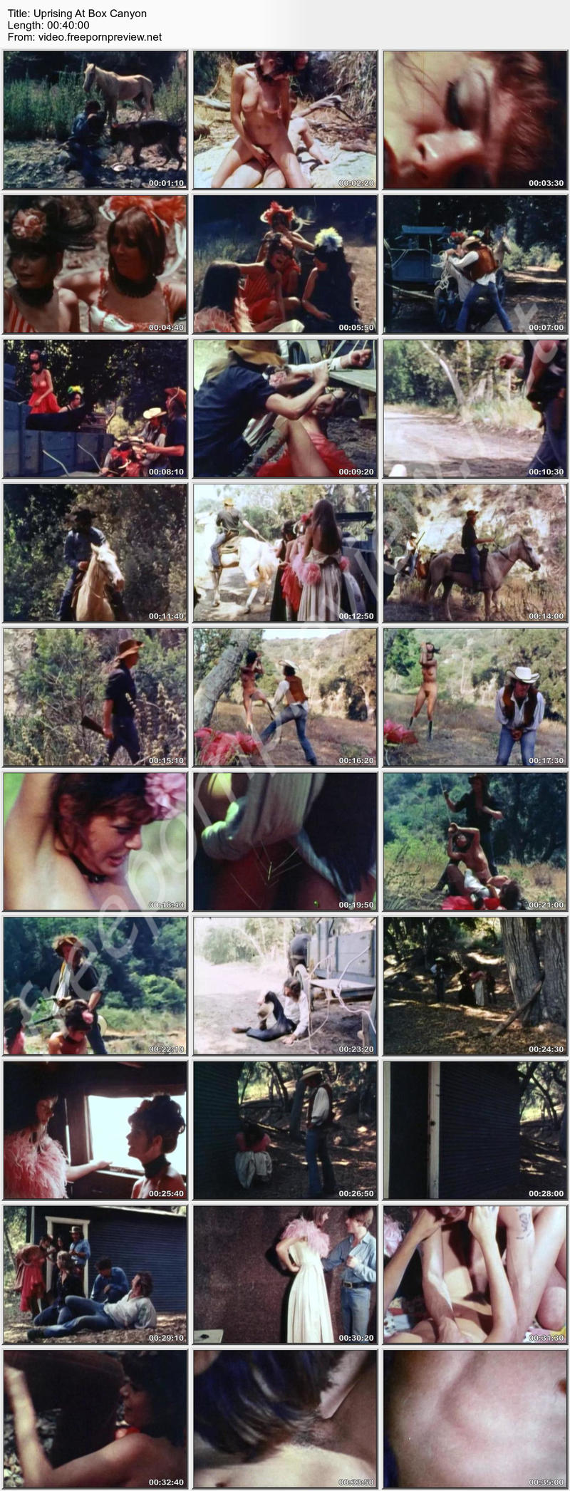 Uprising At Box Canyon