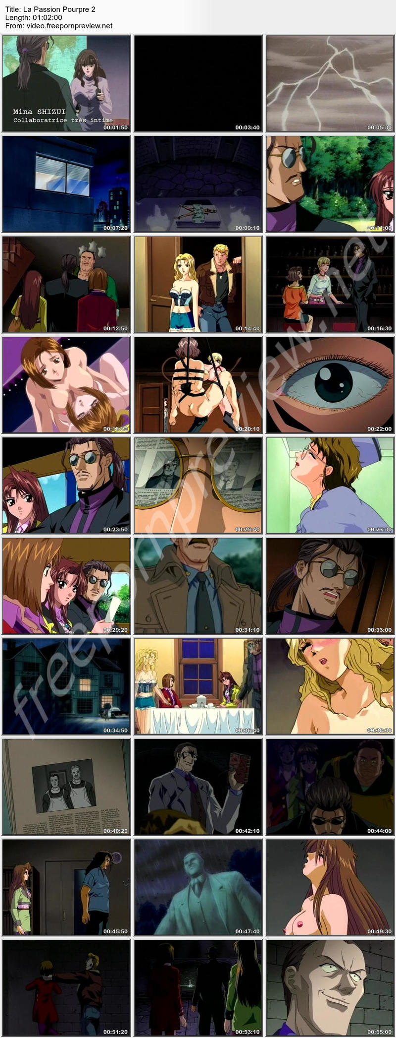 La Passion Pourpre 2