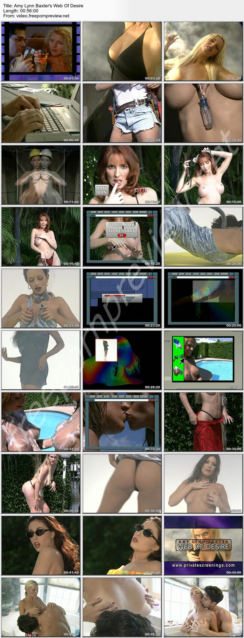 Amy Lynn Baxter's Web Of Desire