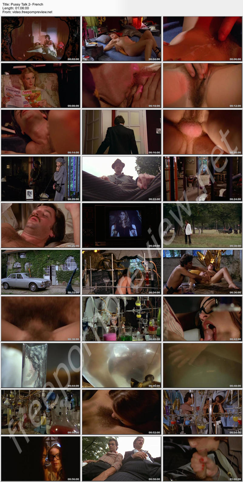 Pussy Talk 2- French