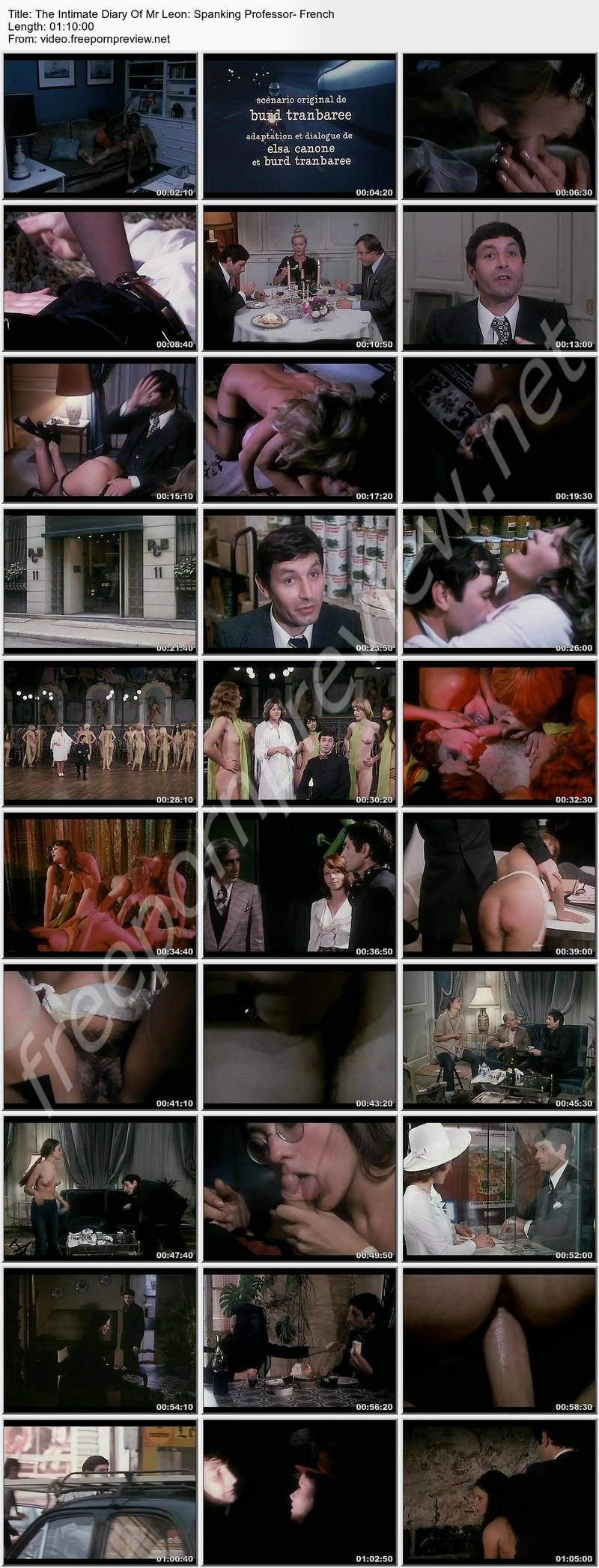 The Intimate Diary Of Mr Leon: Spanking Professor- French