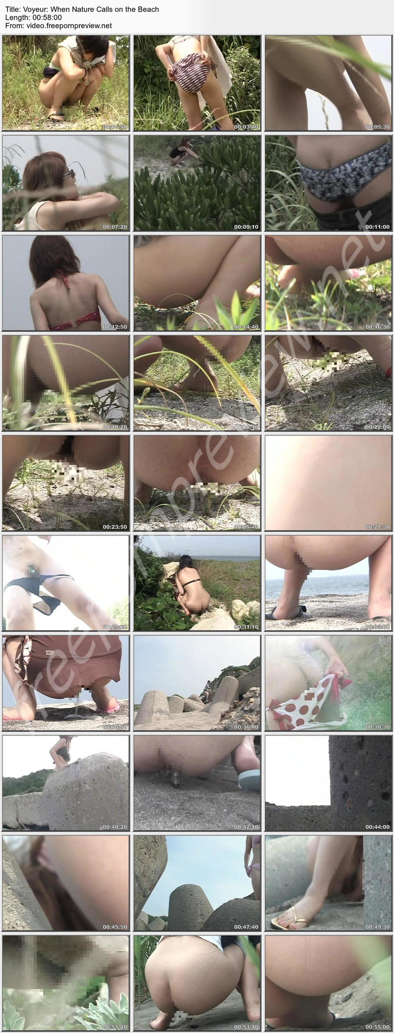 Voyeur: When Nature Calls on the Beach