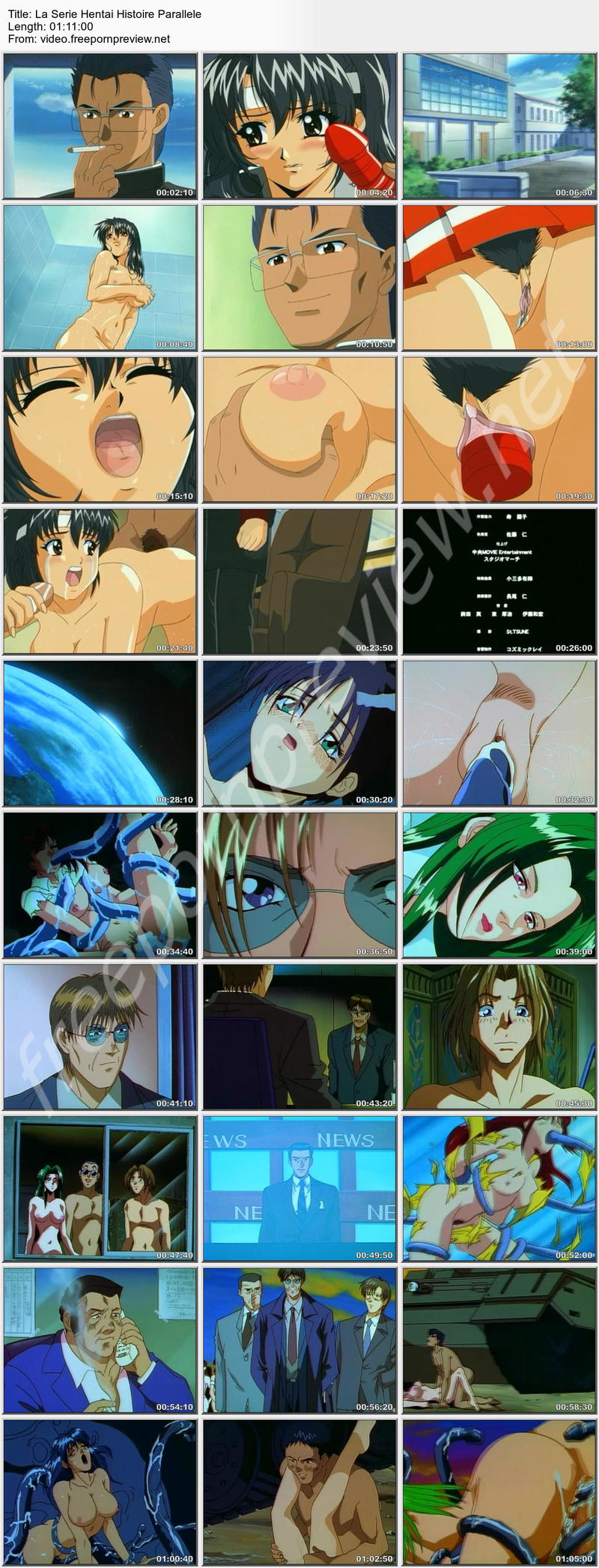 La Serie Hentai Histoire Parallele