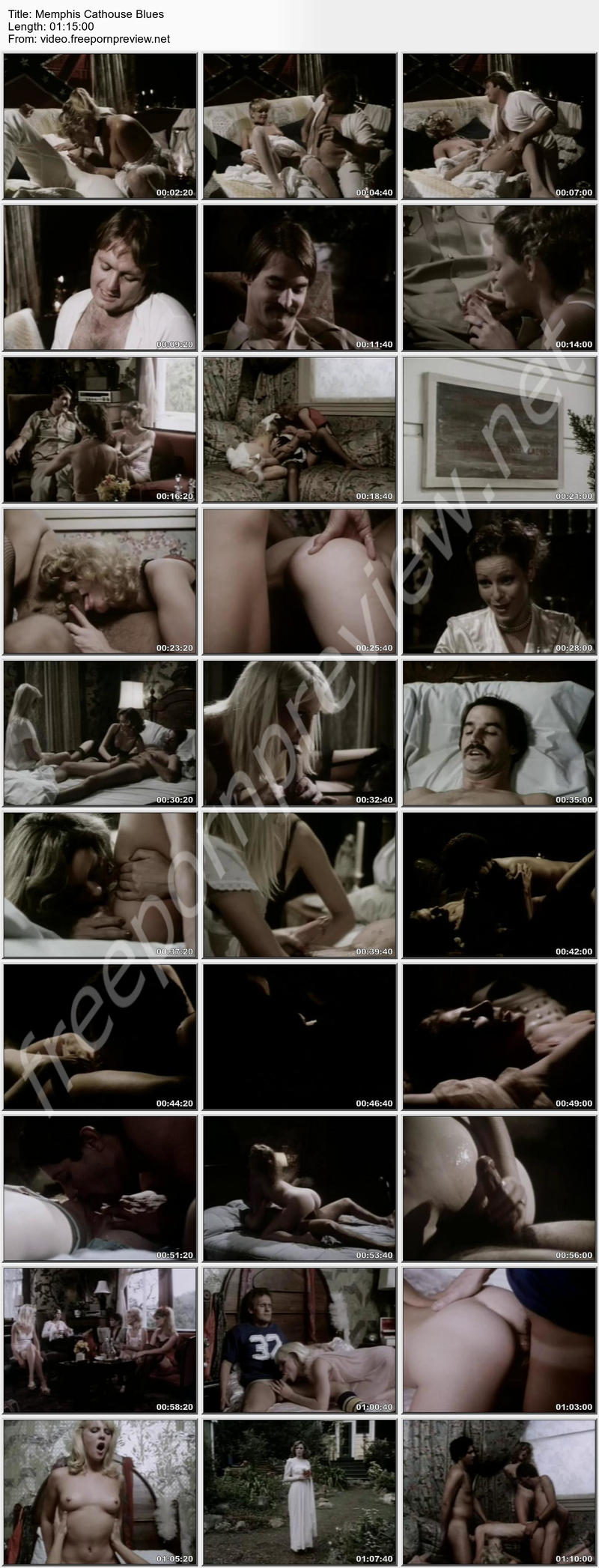 Memphis Cathouse Blues