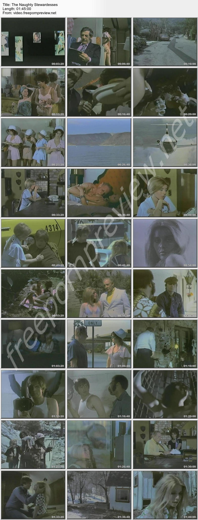 The Naughty Stewardesses