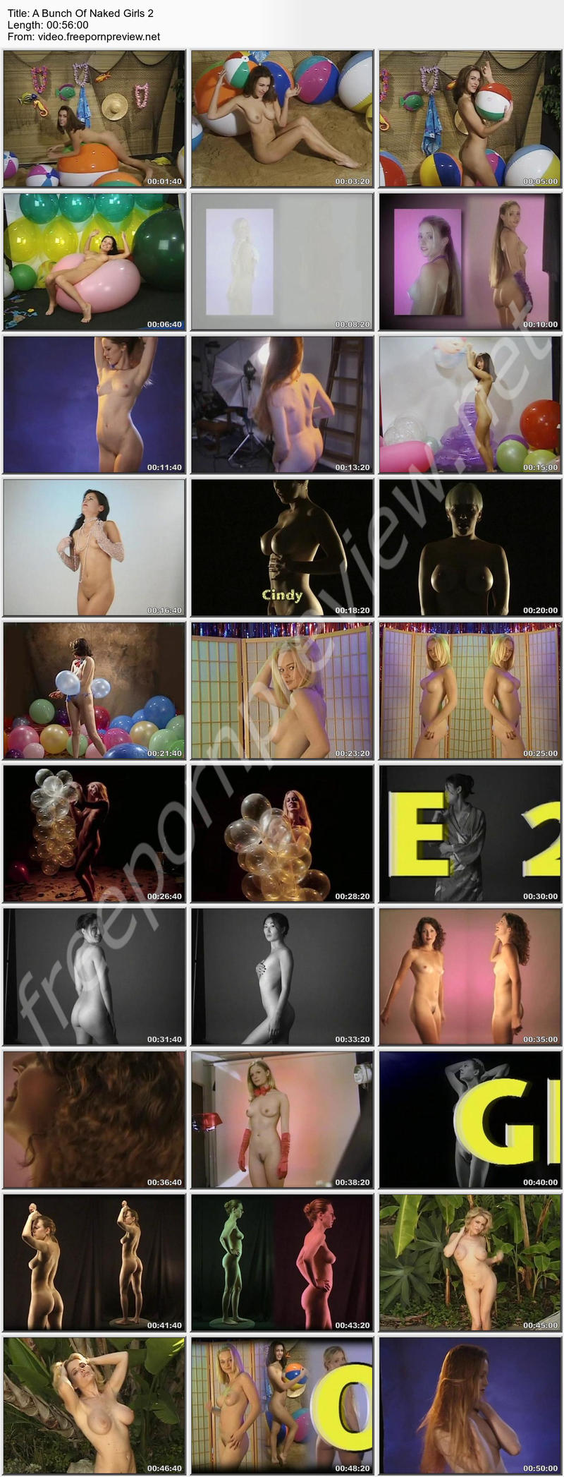 A Bunch Of Naked Girls 2