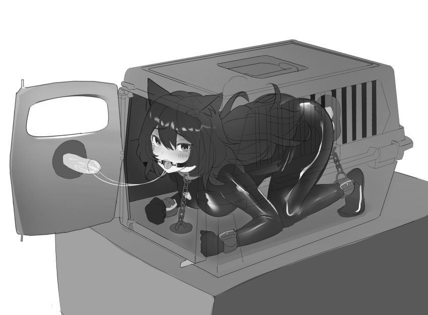 Stored airtight