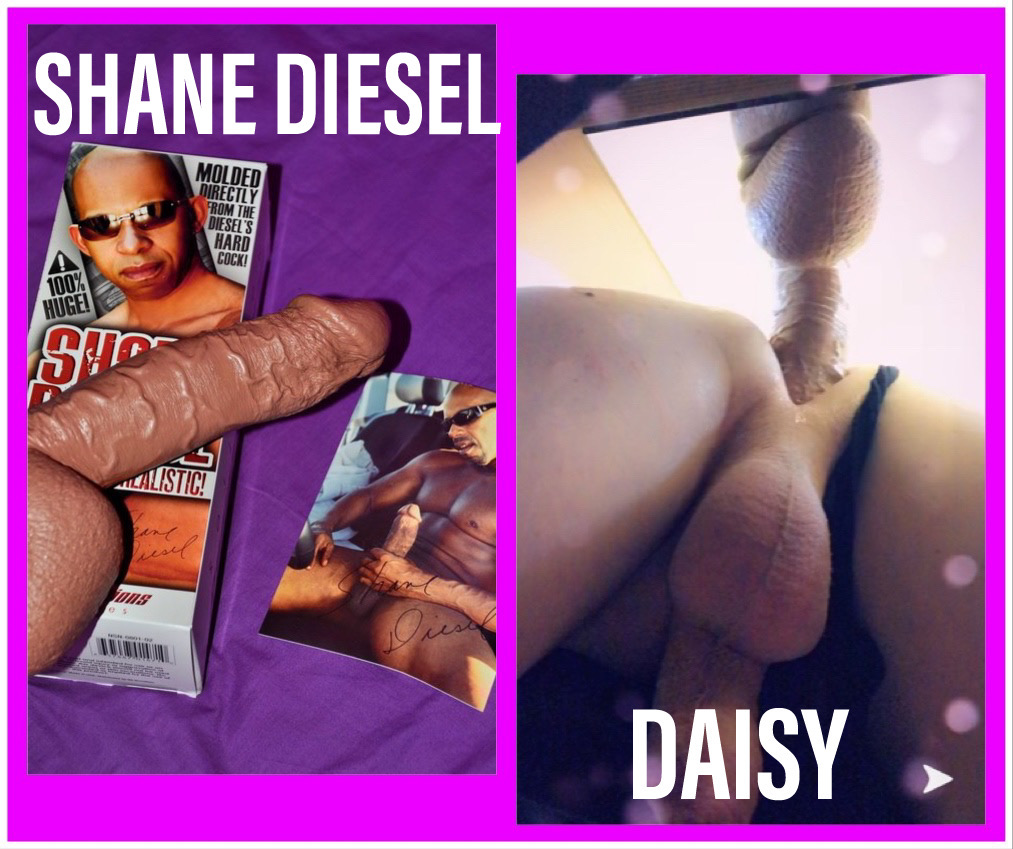 daisy sissy exposed