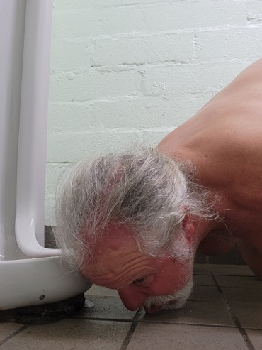 Fag Guy Trépanier toilet loser