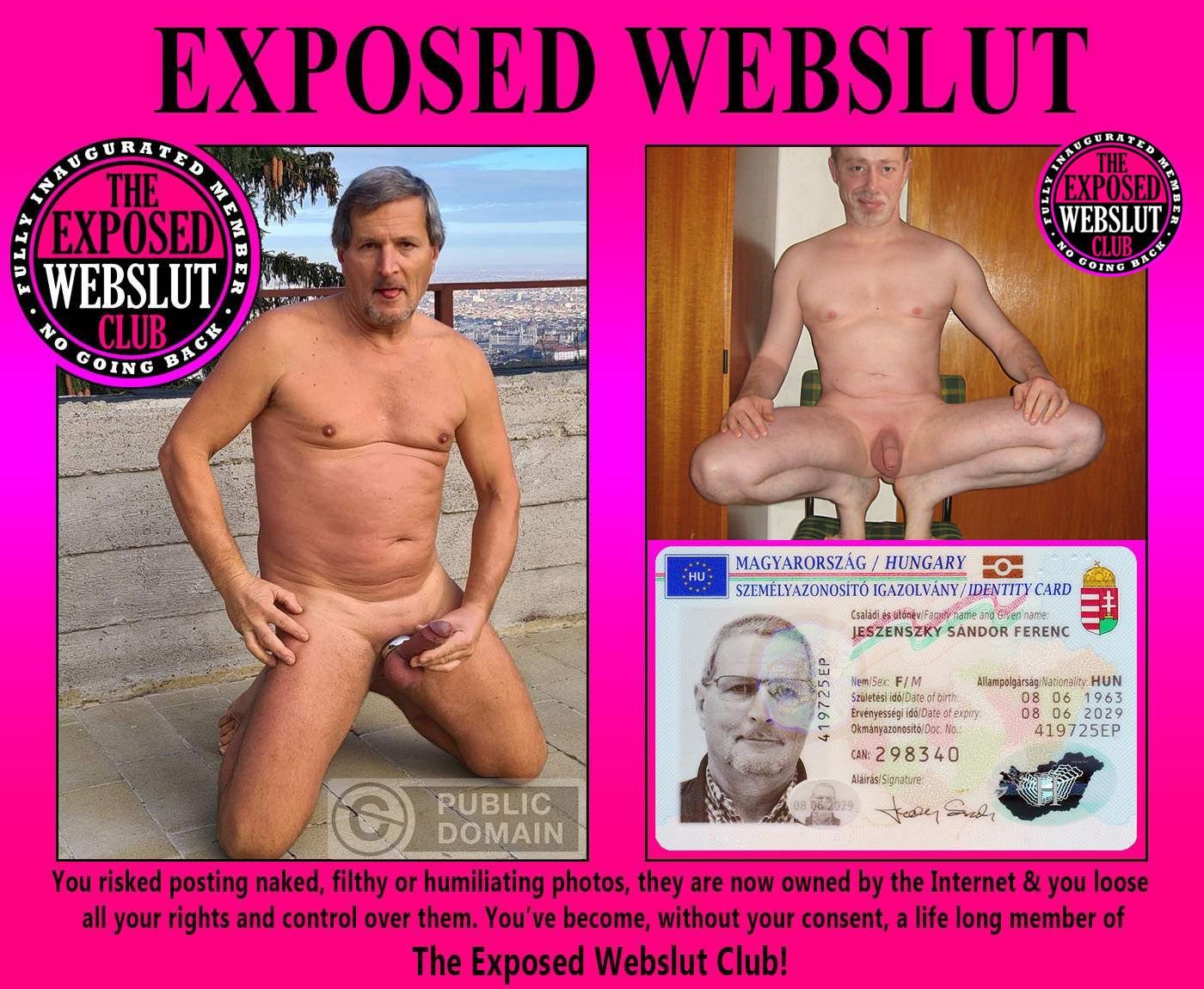 Sandor Jeszenszky / web slut