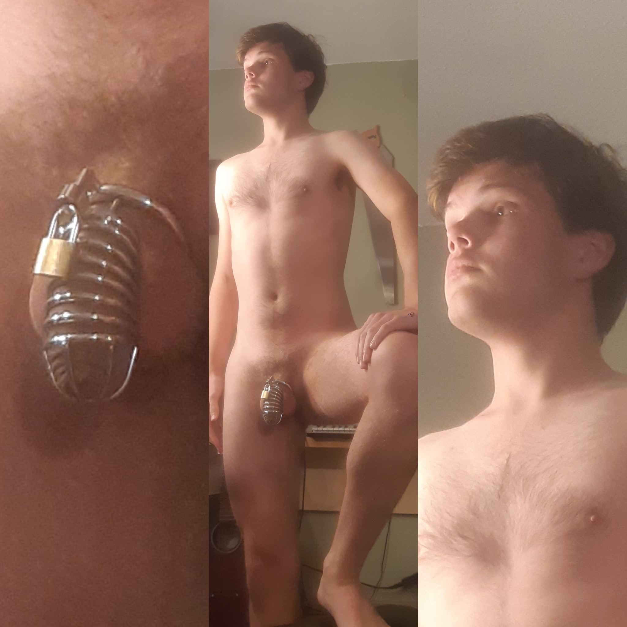 Share fags penis cock dick