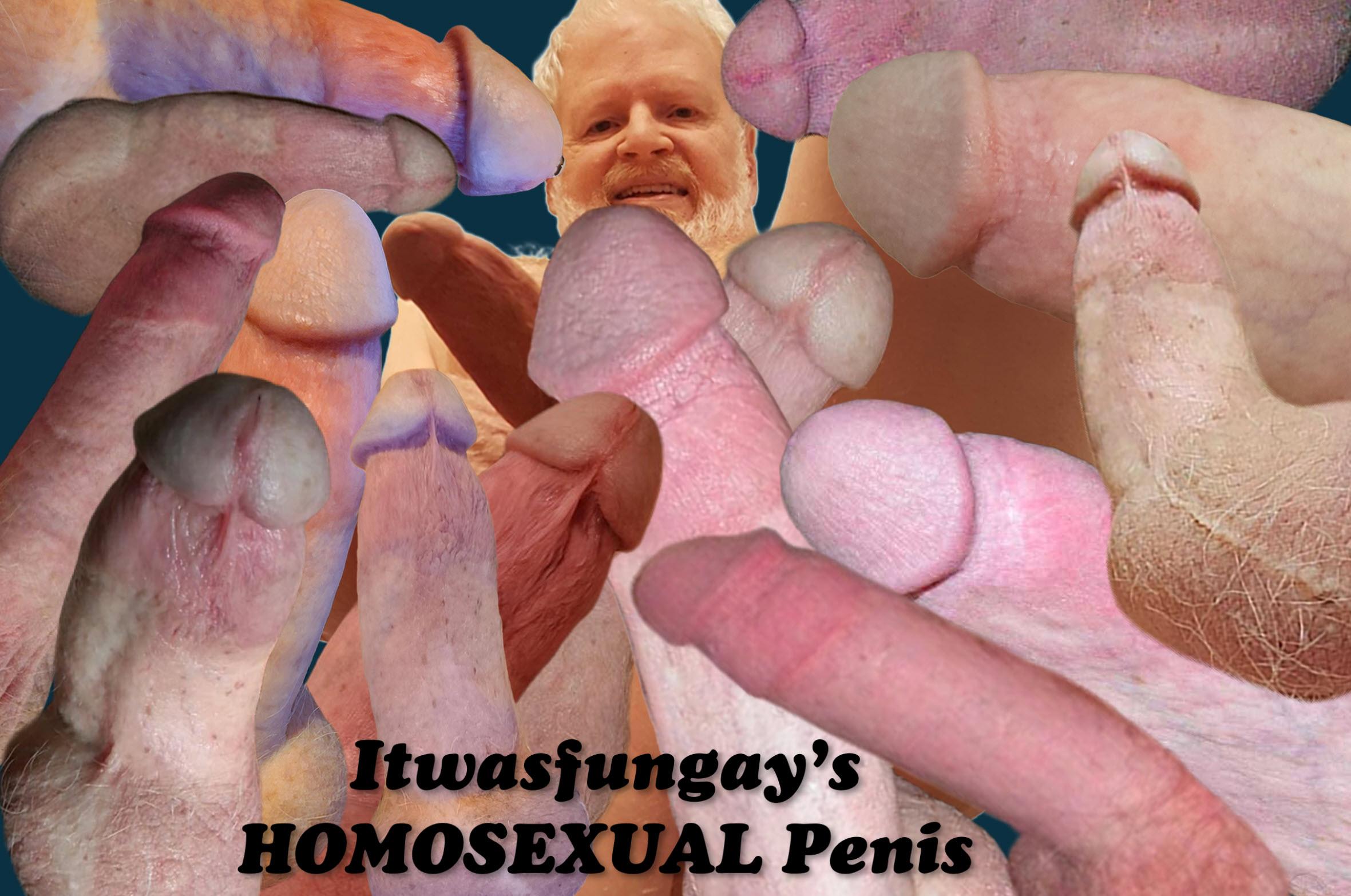 Itwasfungay's HOMOSEXUAL Penis. Fuck me GAY!