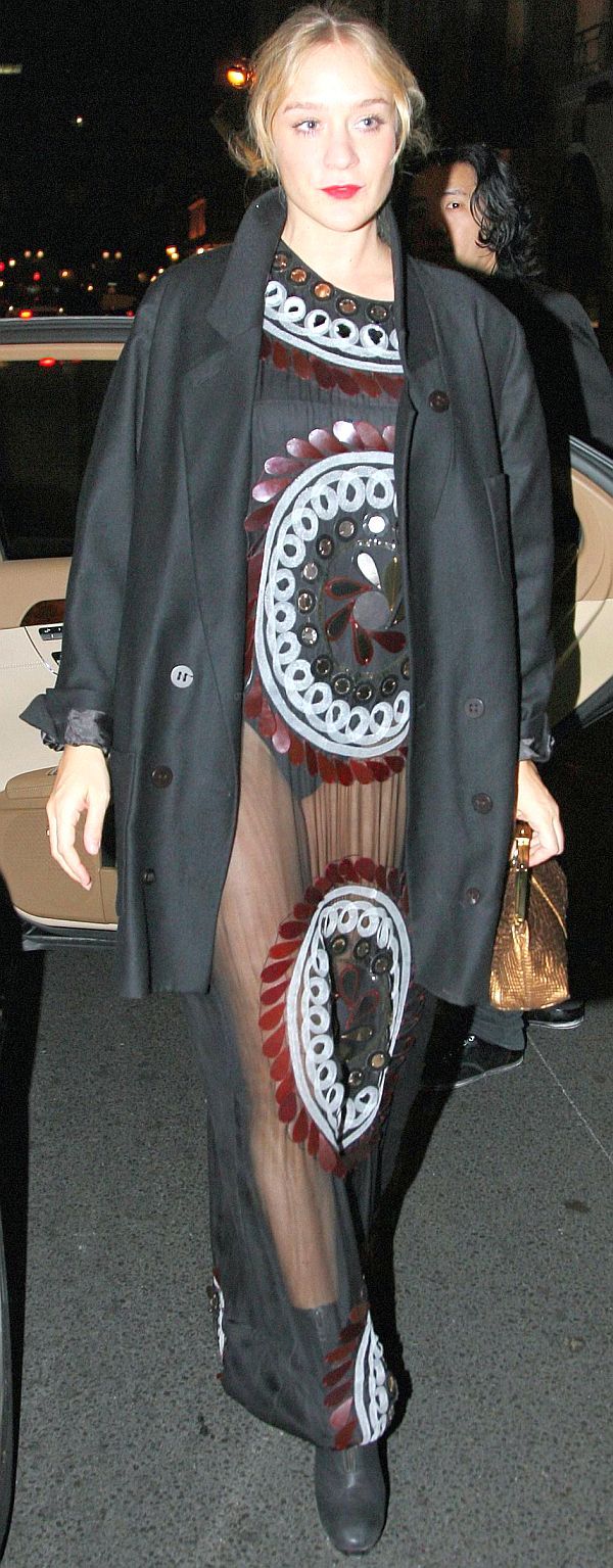 Chloe Sevigny See Through Dress
