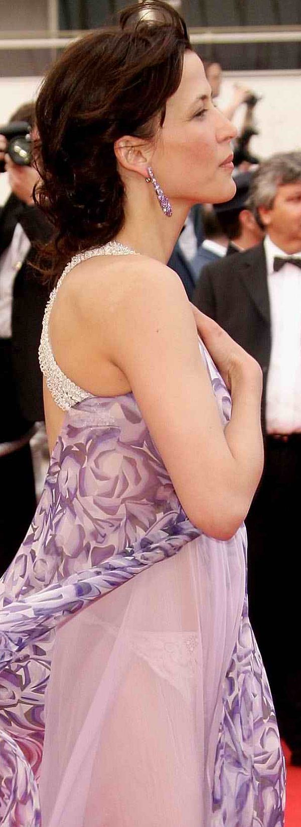 Sophie Marceau See Through Dress Reveals Her Panties On The Red Carpet