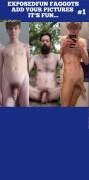 Naked cock face collage
