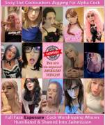 cllgSisssigallery009