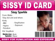 Sissy exposed