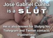 @Gainerbear #Telegram #fag #pozwhore #slutpig #cunha