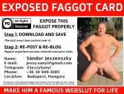 Sandor Jeszenszky Exposed Maleslut