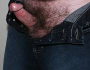 hard cock very hairy