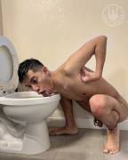 TOILET FAG NAKED