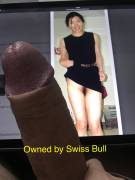Swiss Bull