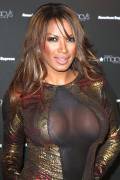 Traci Bingham See Through Dress Shows Off Nipple