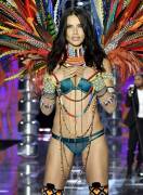 Adriana Lima Pussy in See Through Panties @ the VS Show