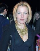 Gillian Anderson's Nips in her See Thru Blouse